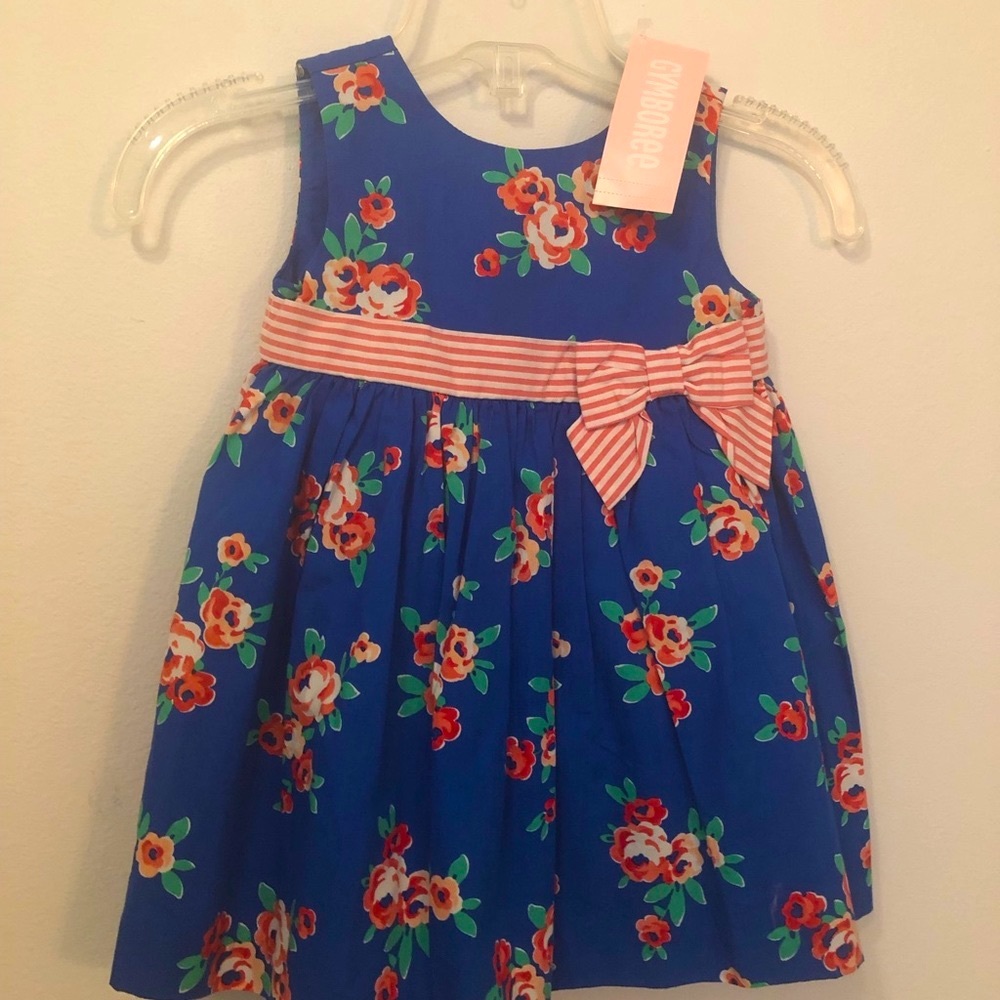 Gymboree Girl Blue Floral Sleeveless Dress Size 12-18 Month NWT